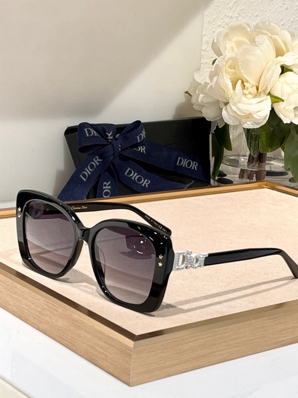 DIOR Sunglasses 110